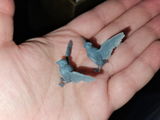 Lauren H review photo