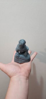 Thomas S review photo