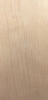 Gisrle review photo