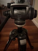 David Yantis review photo