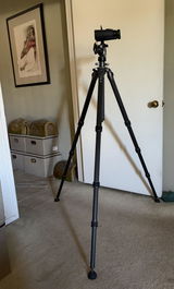 David Yantis review photo