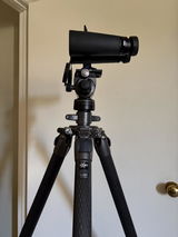 David Yantis review photo