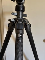 David Yantis review photo