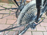 Steffen P. review photo