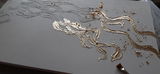 Susan J. review photo
