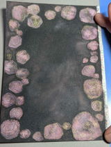 Rhiannon C. review photo