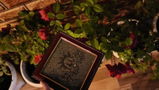 sanjay kumar review photo