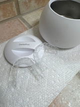 Francesca V. review photo