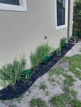 Darlene S. review photo