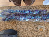 Debi review photo