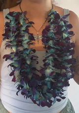 MIAMI IN STOCK - 100 Blue Sonia Dyed Fresh Cut Dendrobium Orchid Loose Bloom