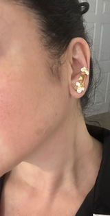 Dana Ippolito review photo