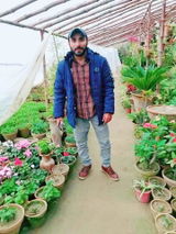 Syed Sajad review photo