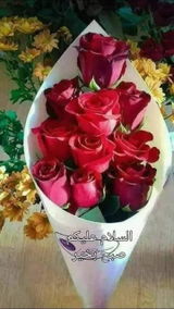 atta ur rehman review photo
