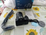 Enrico review photo