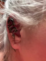 Roxann Goudy review photo