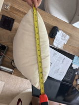 Eli review photo