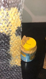 Hassan review photo