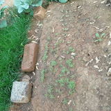SARFARAZ AHMAD review photo