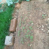 SARFARAZ AHMAD review photo