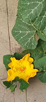 PRADEEP KUMAR JAIN review photo