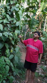 VASANTHA T S review photo