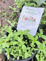 Mrunal Kale review photo