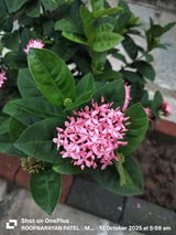 ROOPNARAYAN PATEL review photo