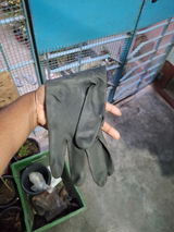 Anonymous review photo