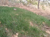 virendra review photo
