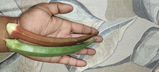 Amandeep review photo