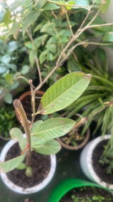 RAKESH KUMAR GARG review photo