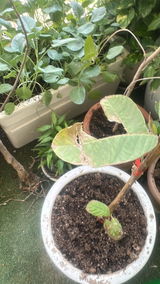 RAKESH KUMAR GARG review photo