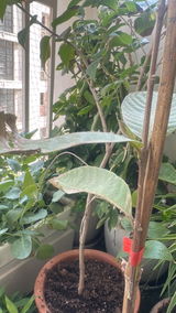 RAKESH KUMAR GARG review photo