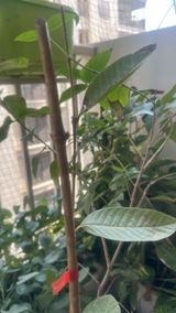 RAKESH KUMAR GARG review photo