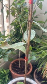 RAKESH KUMAR GARG review photo