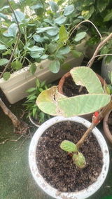 RAKESH KUMAR GARG review photo