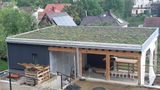 Martin Danek review photo