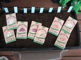 Evaline Wead review photo