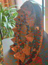 Benny Blyaert review photo