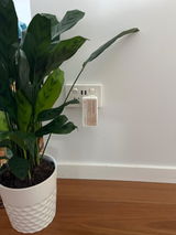 Prue review photo