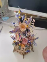 Sophia review photo