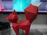 Cucco review photo