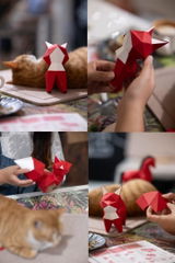 Lily review photo