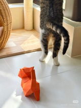 Modern_Cat_Lady review photo