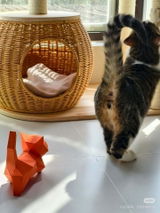 Modern_Cat_Lady review photo
