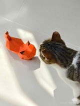 Modern_Cat_Lady review photo