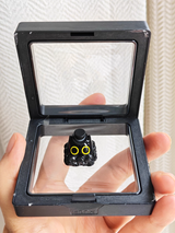 Collector101 review photo