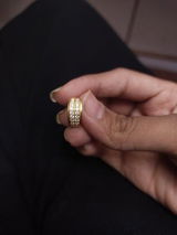 Ranjit C. review photo