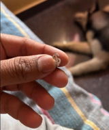 Shaishav V. review photo